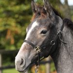 プリティアイドル2025