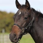 プレイスオブアーナー2025