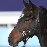 マリノアルカディア2025