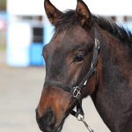 ラヴァリーノ2025