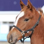 ザワールドウィノウ2025